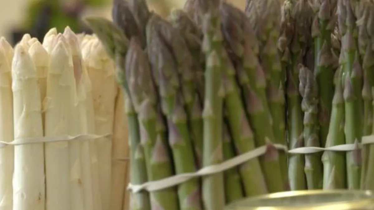 Les asperges Les asperges