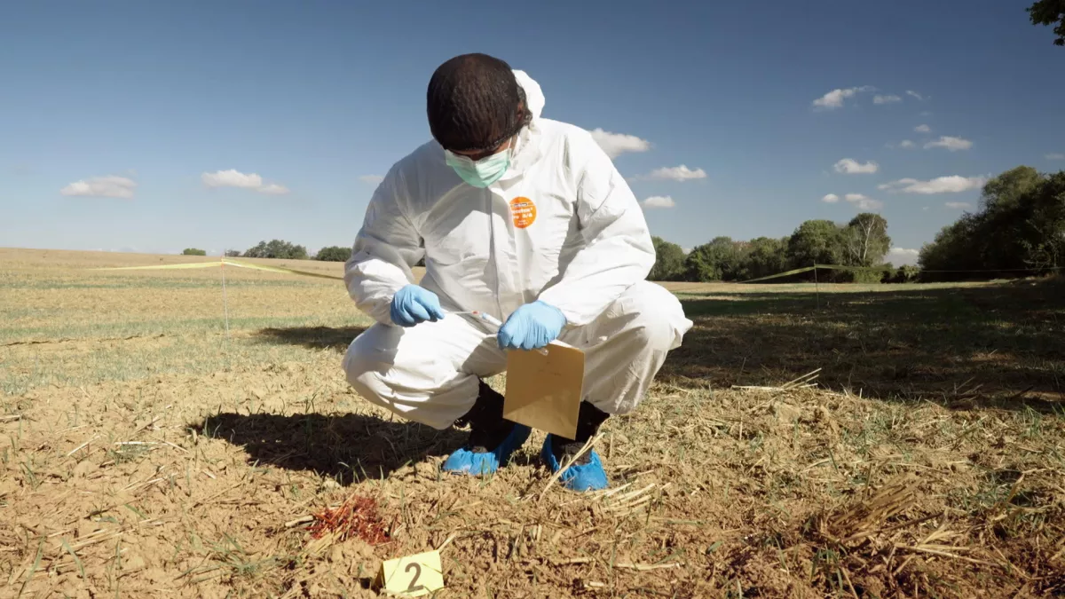 Science grand format : Experts du crime : quand la science mène l'enquête