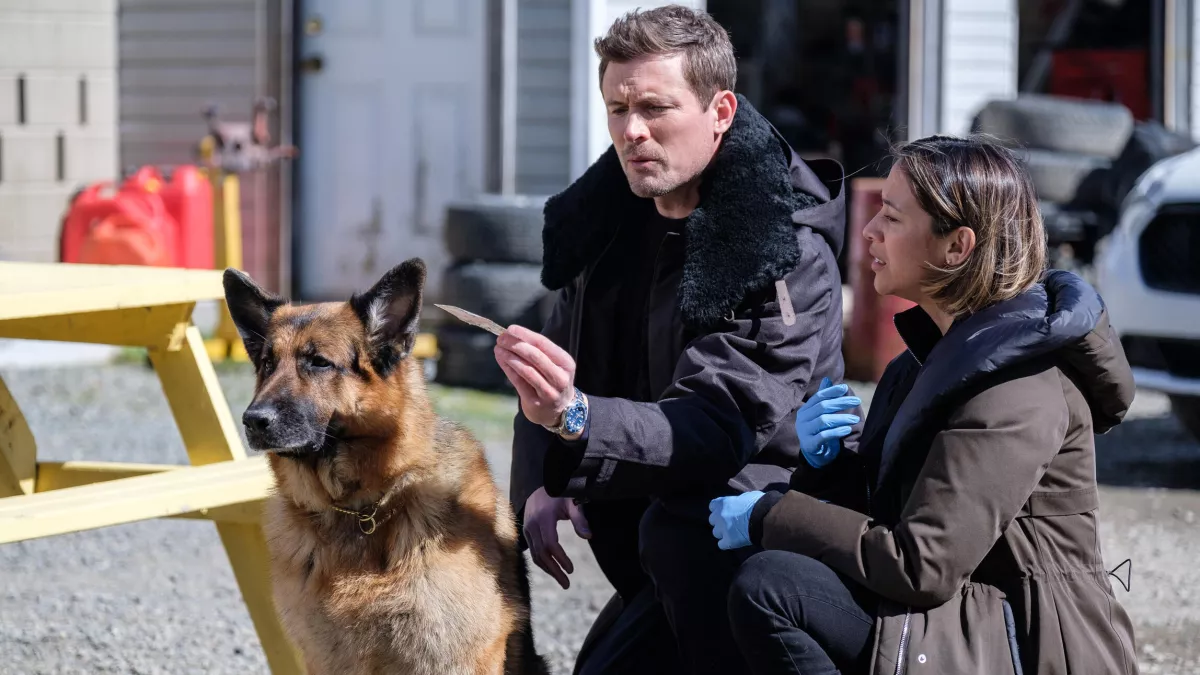 Hudson & Rex - saison 5