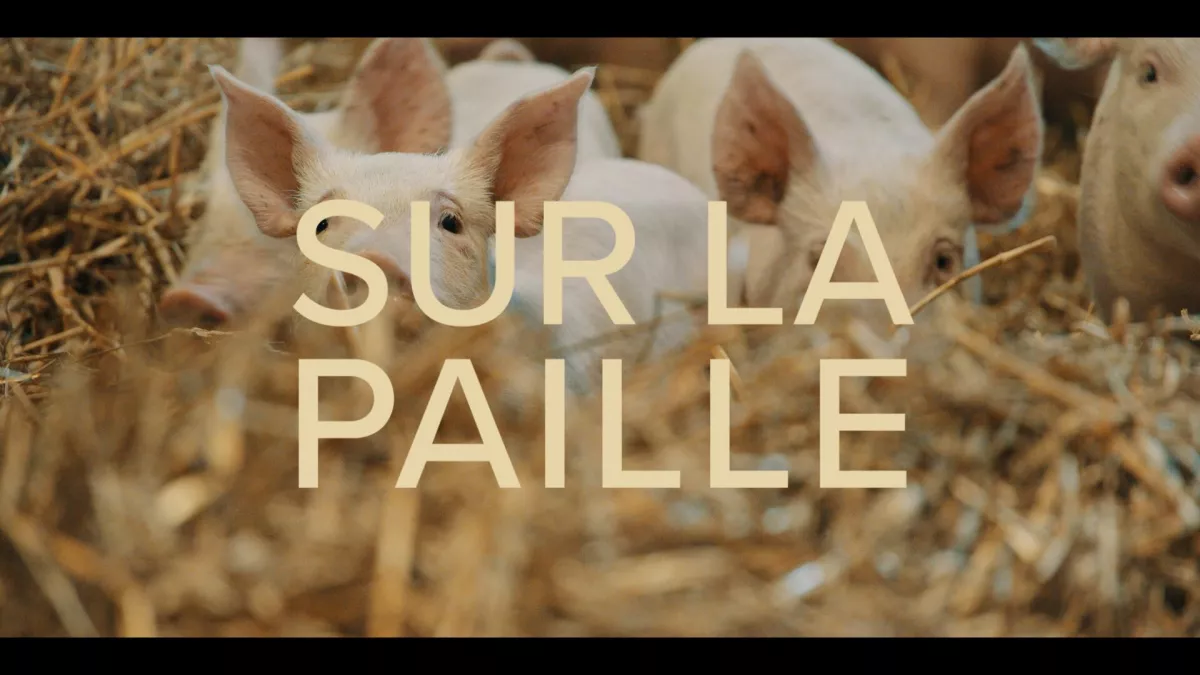 sur la paille