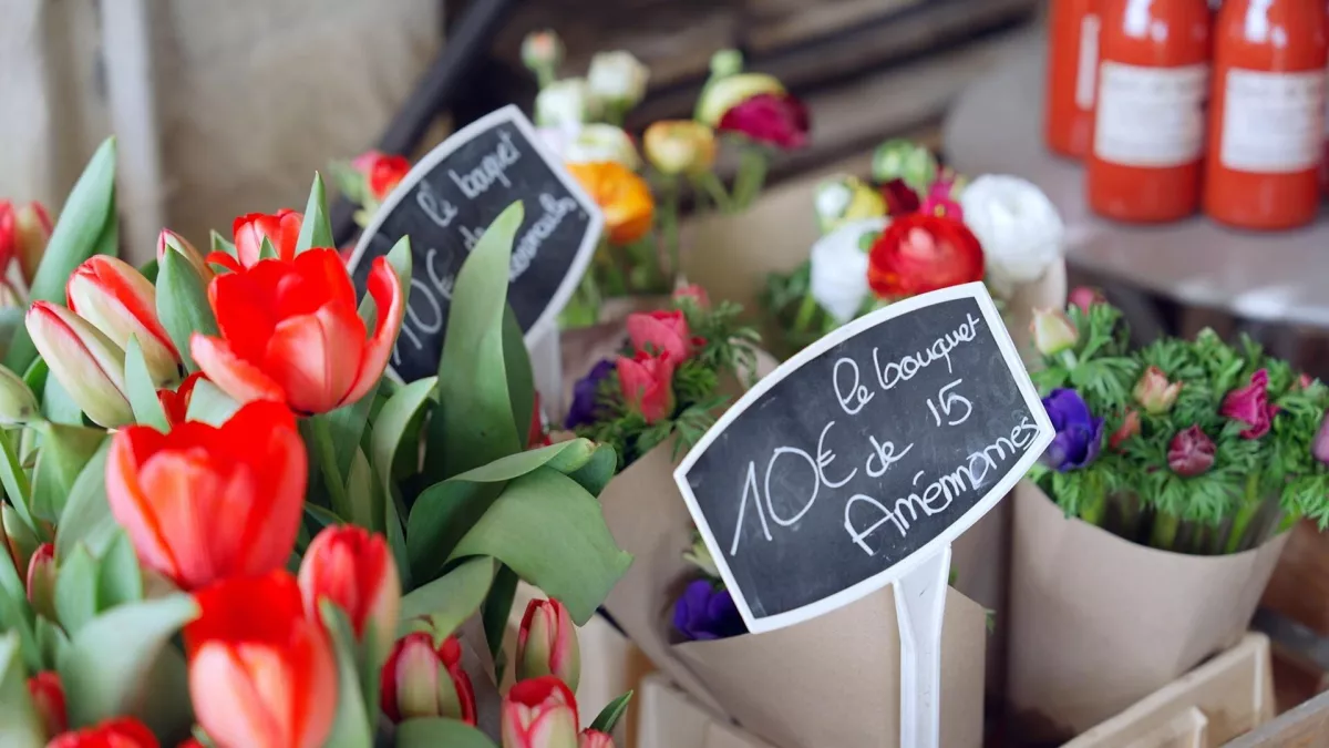On se pique à la fleur française