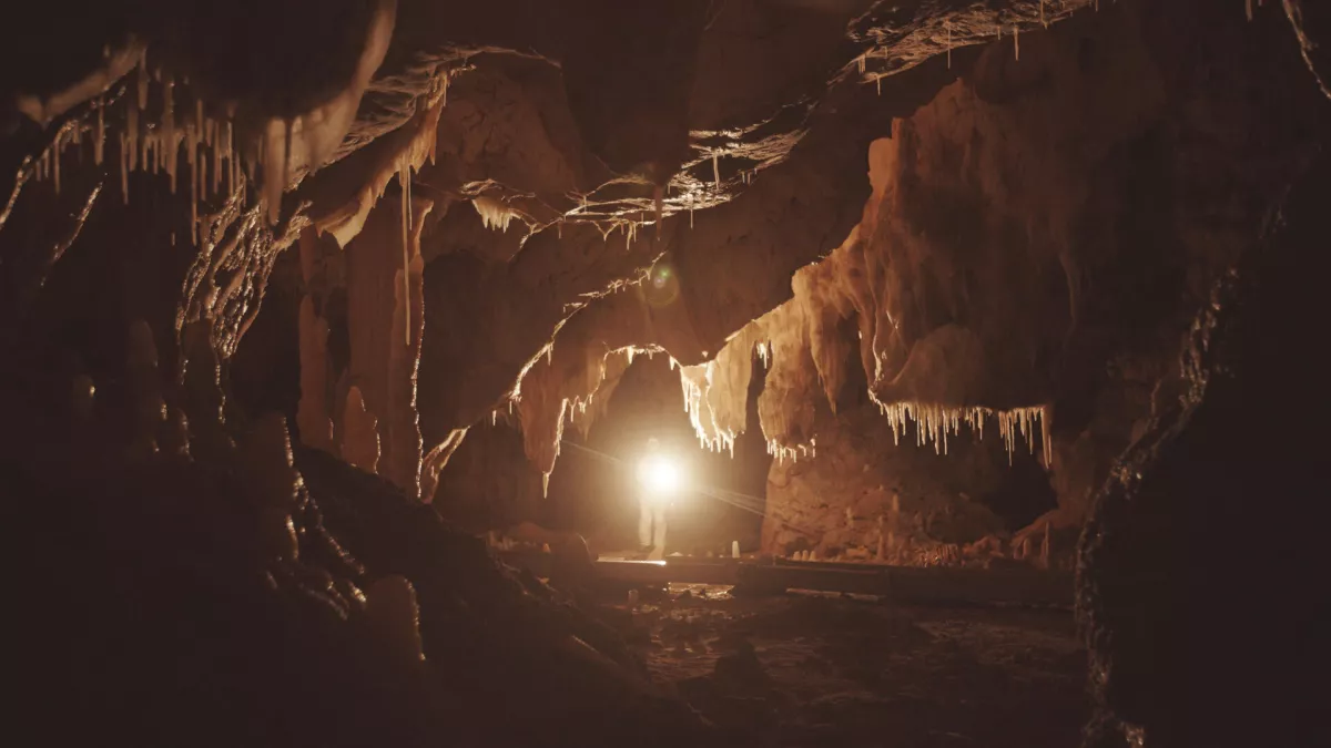 © france.tv studio Chauvet, voyage aux origines