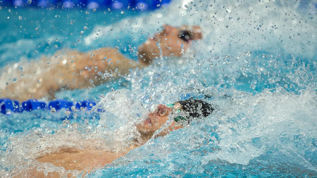 Championnats du monde de natation