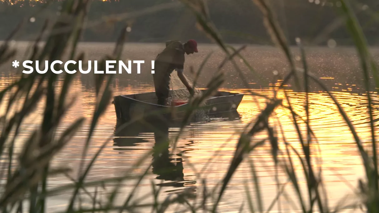 pêcheur professionnel dans une barque au soleil levant