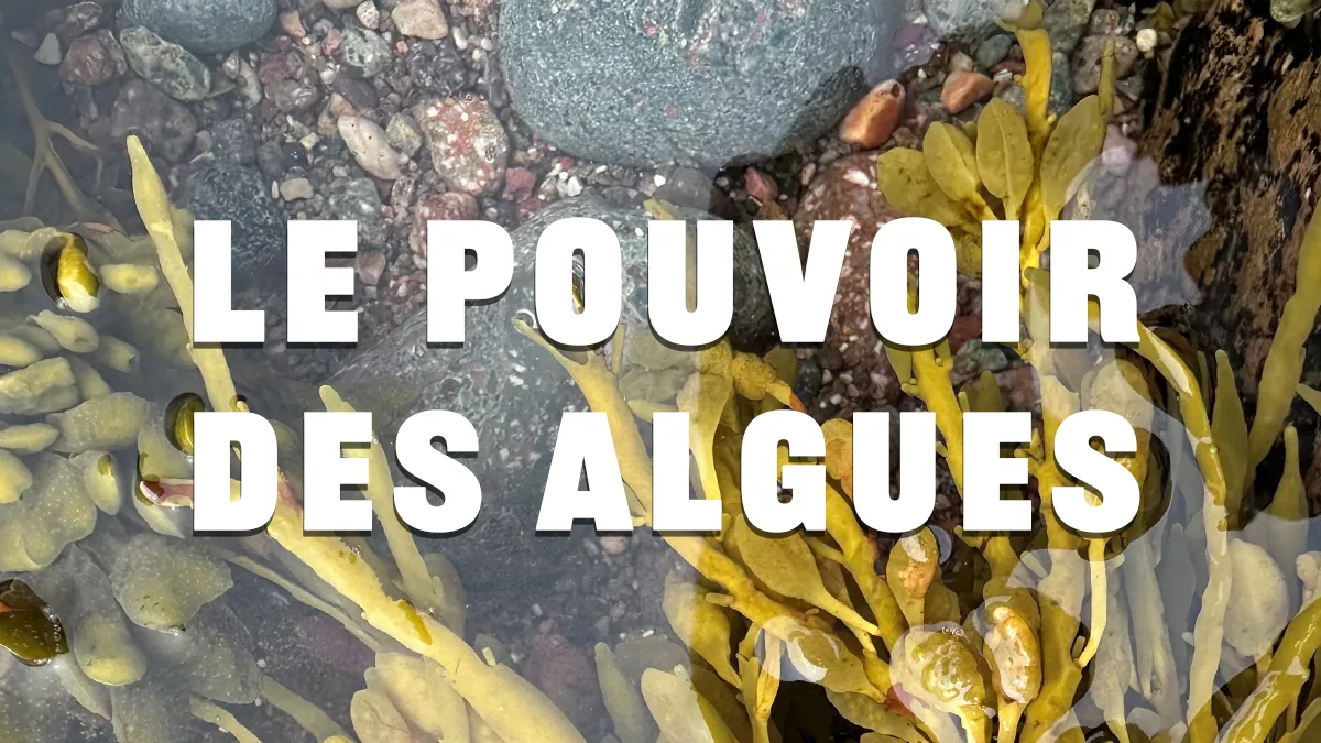 © SPM la 1ère