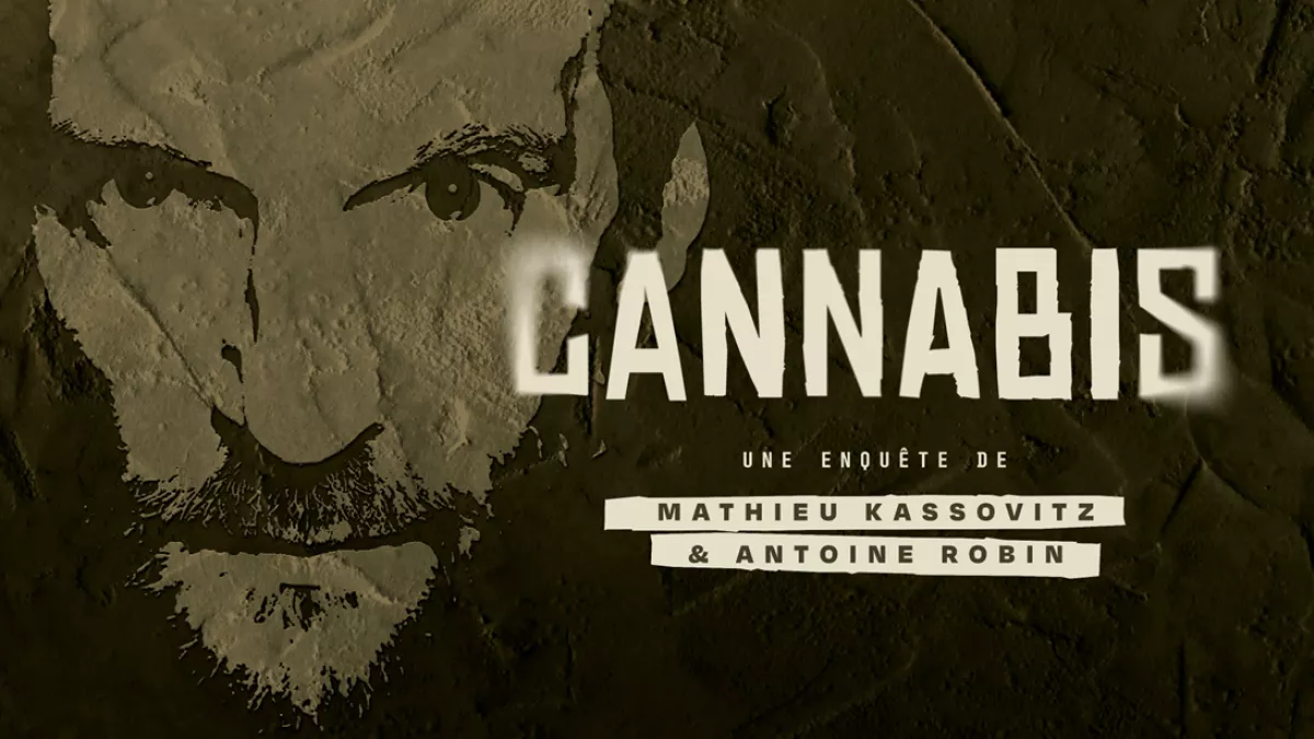 Cannabis