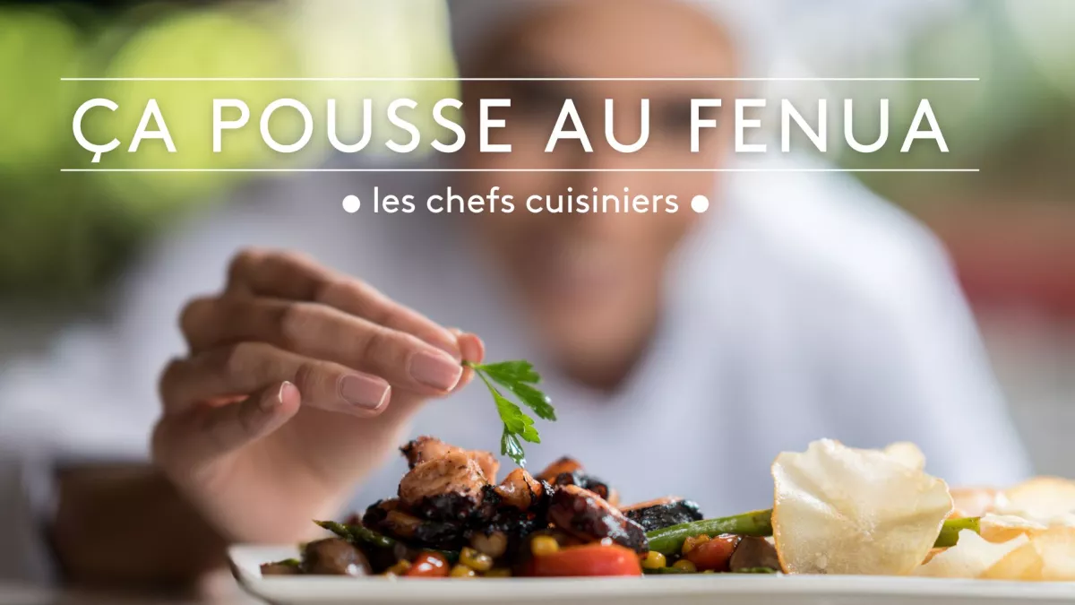 CPAF doc les chefs cuisiniers