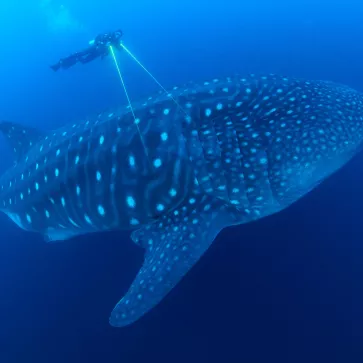 PLANÈTE BLEUE 2