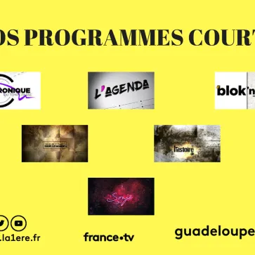 logo des programmes courts