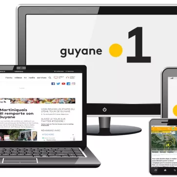 visuel web tdg