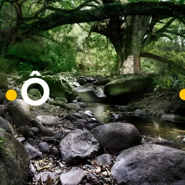 FRANCE ô Nathalie Guyon