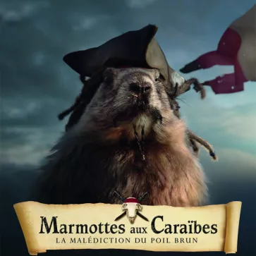 Marmotte