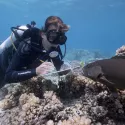 PLANÈTE BLEUE 2