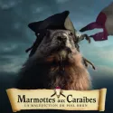 Marmotte