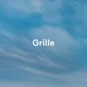 Vignette grille PDL