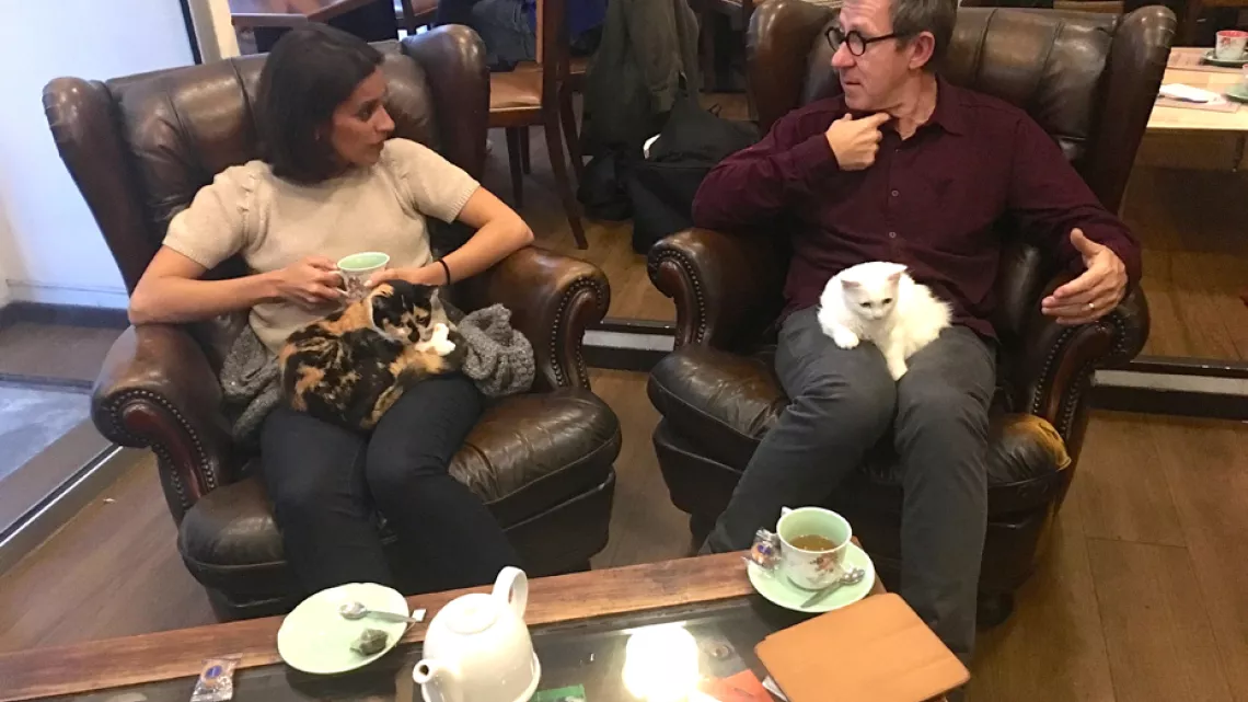 Le bar à chats 