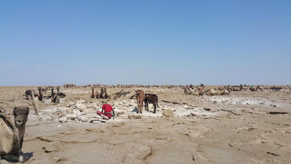 ETHIOPIE, LE PAYS DES ORIGINES