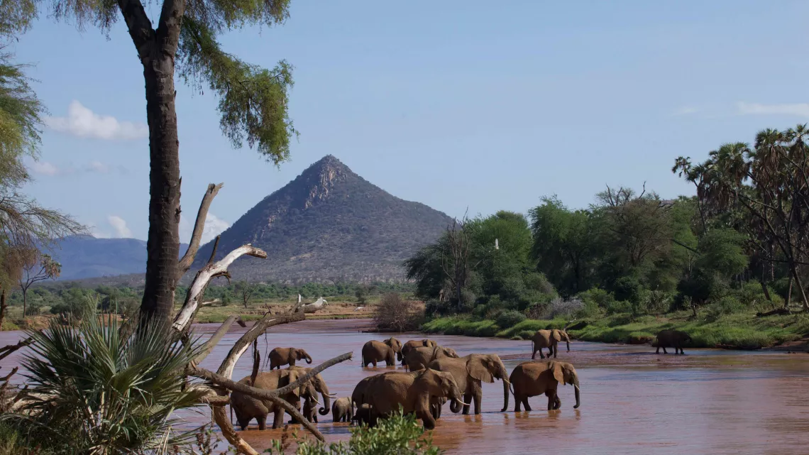 UNE FAMILLE DANS LA BROUSSE