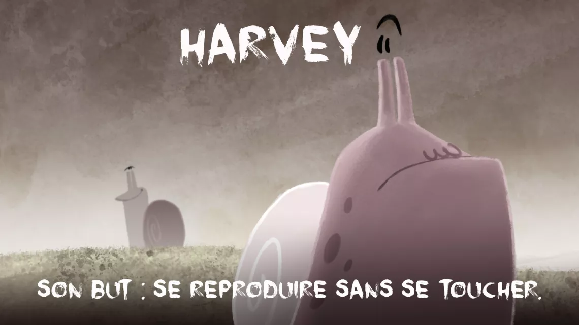 Harvey