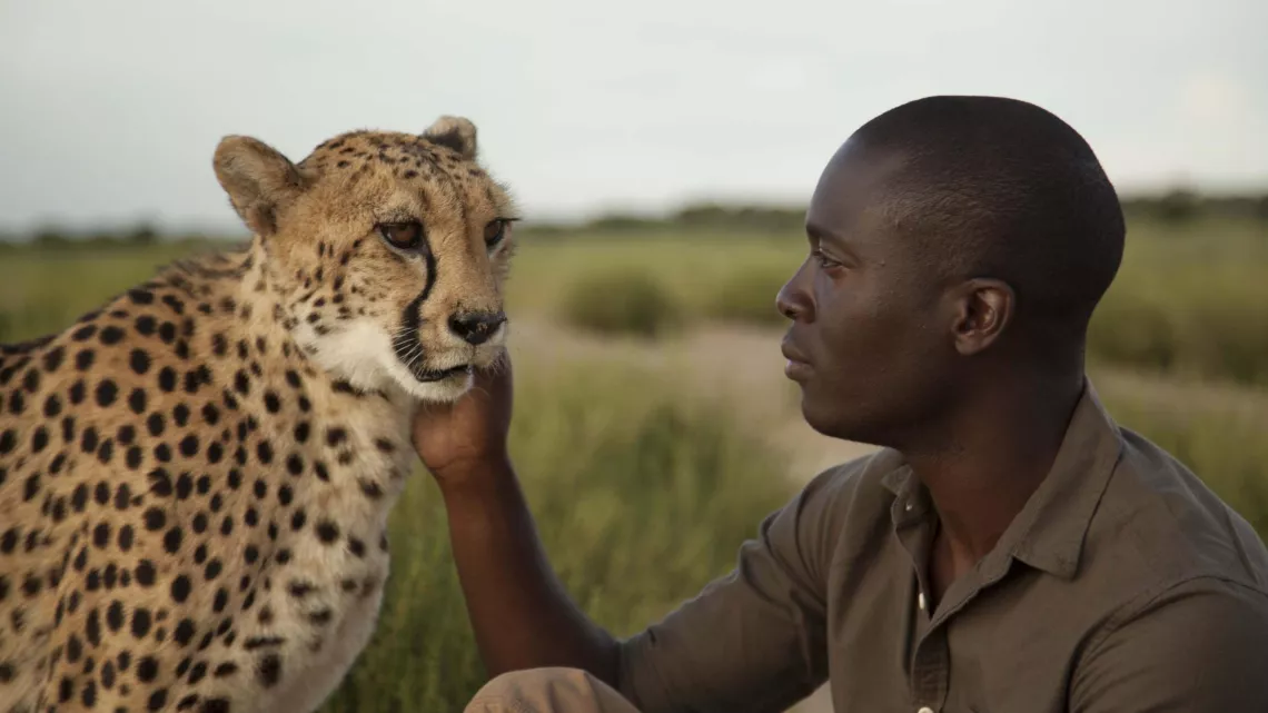 LES SUPER-SENS DES ANIMAUX
