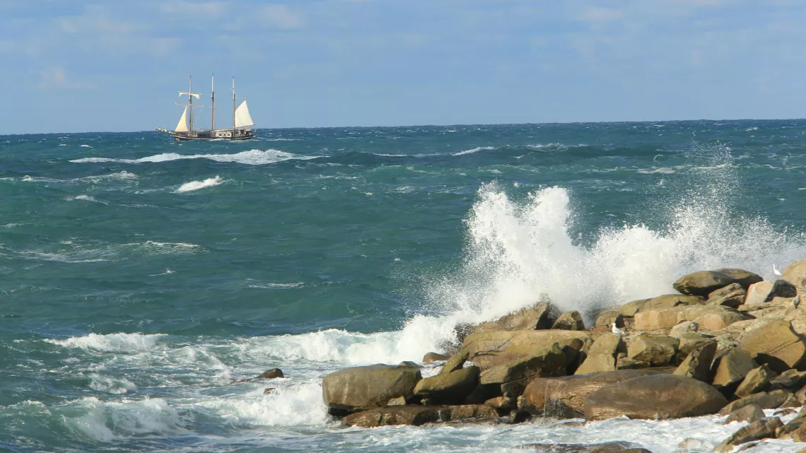 les blessures de l'île