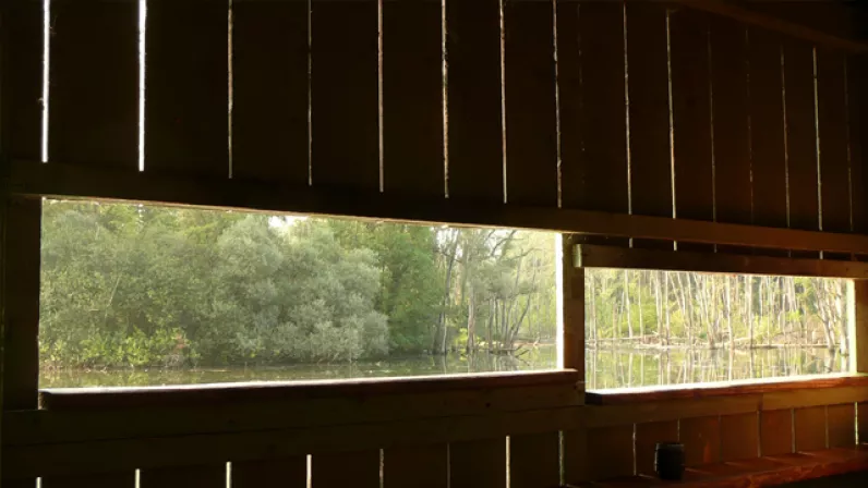 Petite Camargue alsacienne