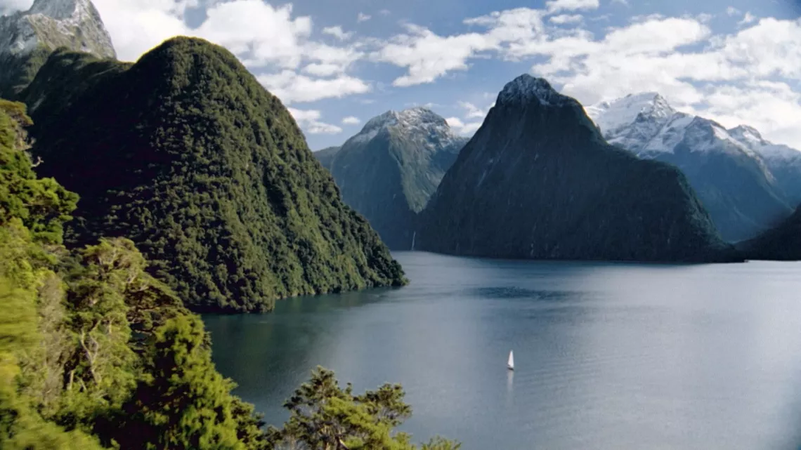 Dans les fjords de Nouvelle-Zélande
