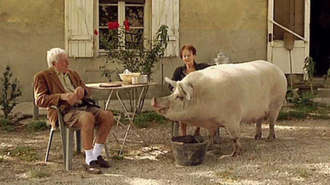 Cochon