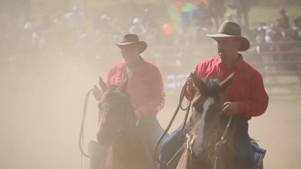 Au rythme des chevaux 