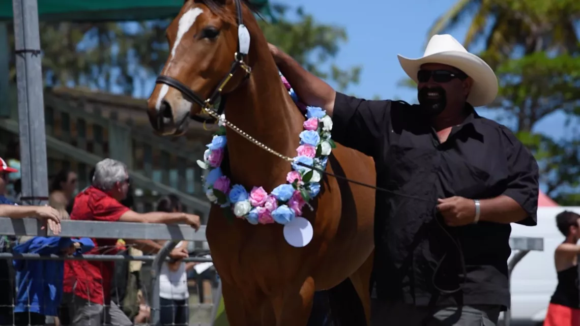 Au rythme des chevaux 