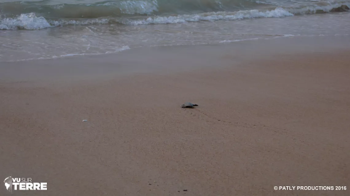 Sao Tome-et-Principe 