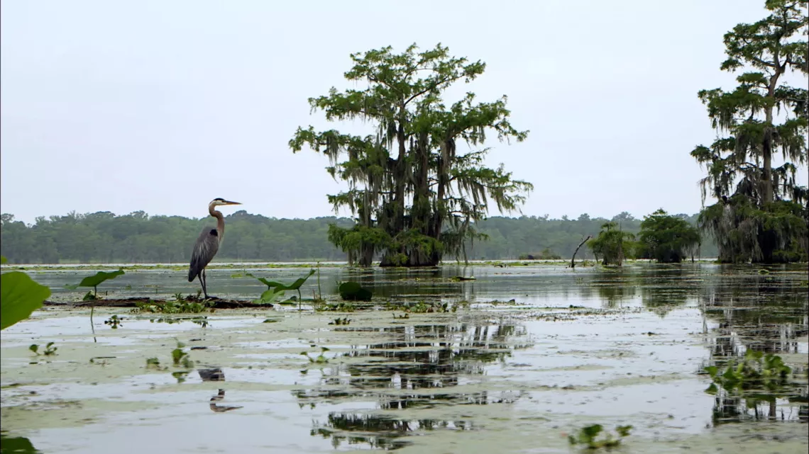FAUT PAS REVER - MISSISSIPI, LES LEGENDES DU FLEUVE FAUT PAS REVER TOUR DU MONDE 2