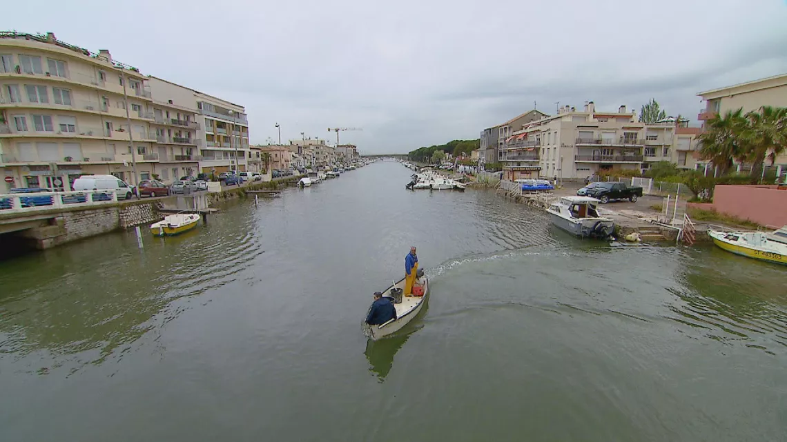 LANGUEDOC