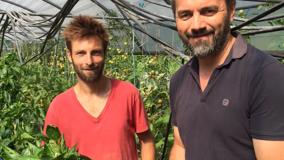 Christophe Albert et Yann Cholot, Les paniers de la dernière pluie
