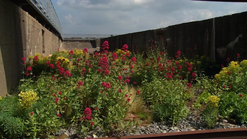 Le jardin en mouvement