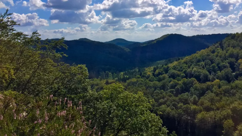 Le pays de la Petite Pierre