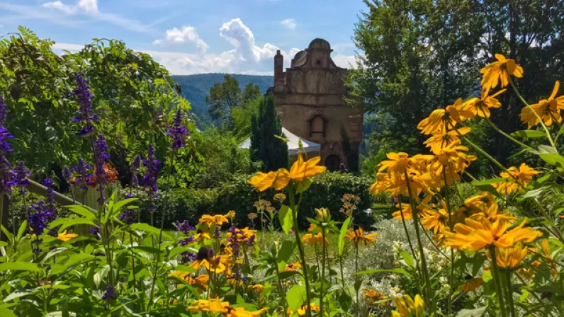 Le pays de la Petite Pierre
