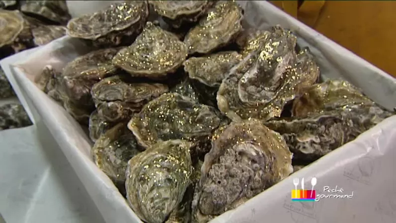 Huîtres