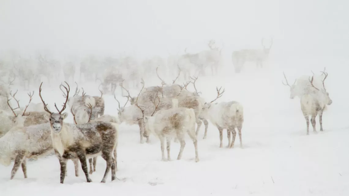 GRANDEURS NATURE
