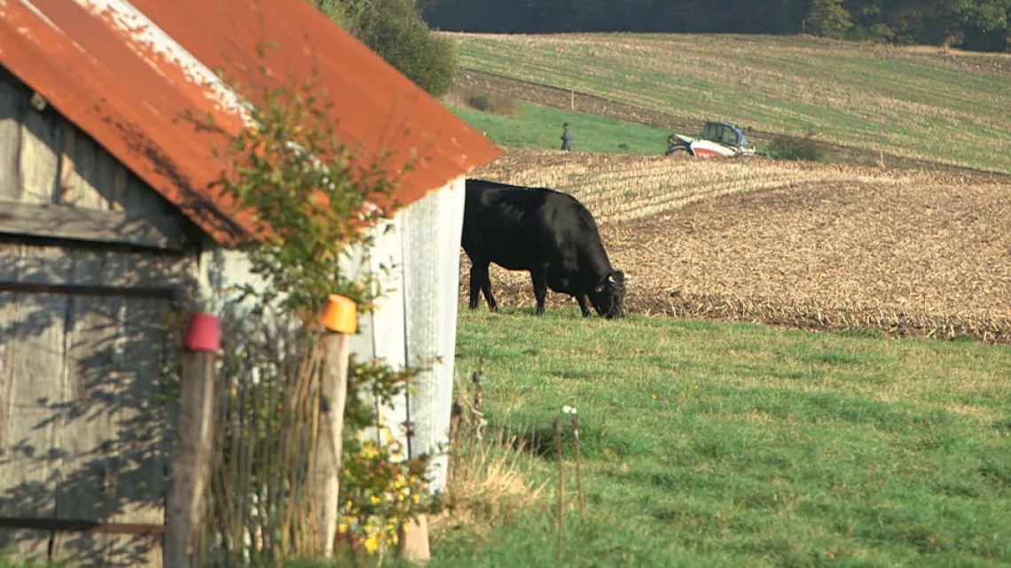 exploitation agricole 