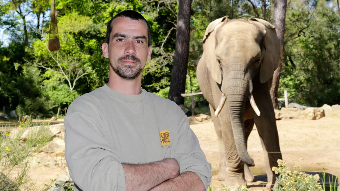 UNE SAISON AU ZOO