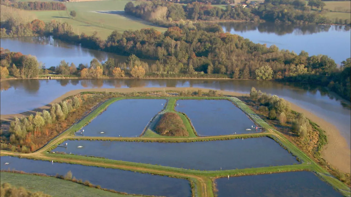 Etangs de la Dombes