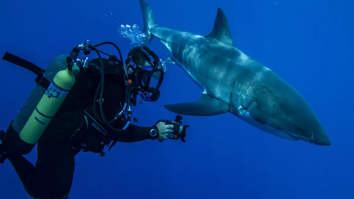 MISSION MONSTRES MARINS
