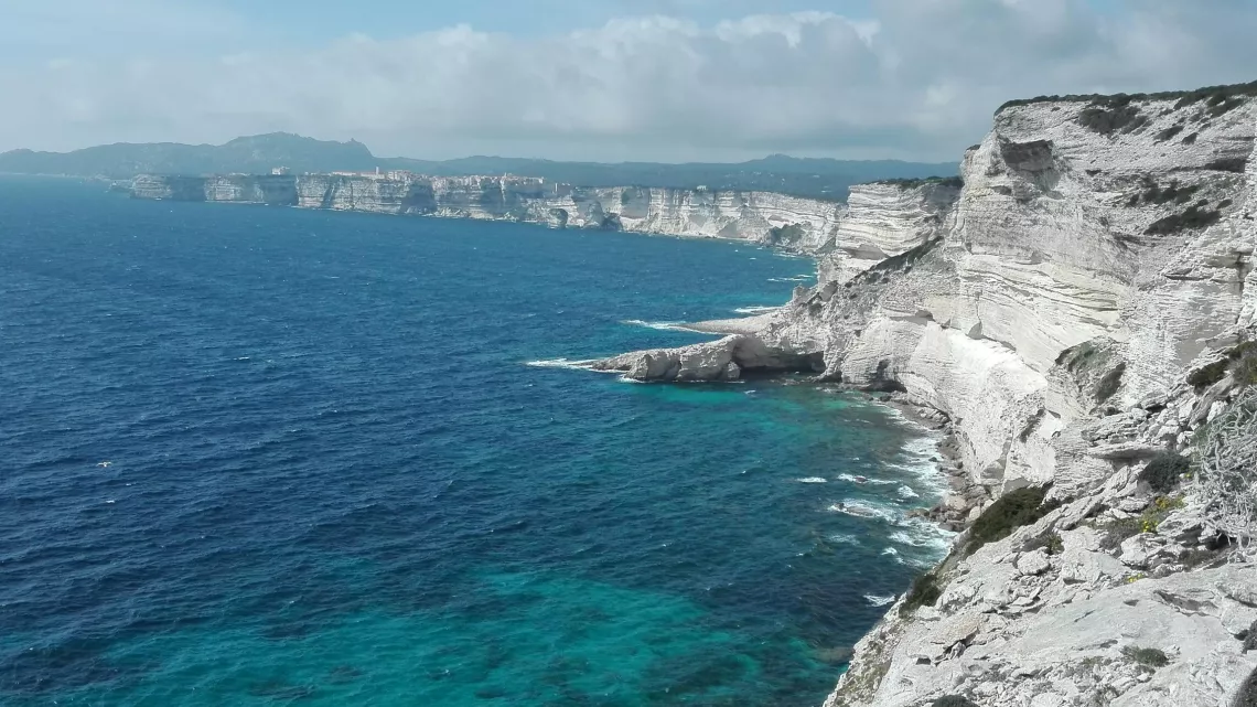 ECHAPPEES BELLES