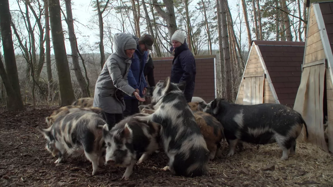 Le Monde de Jamy Ces animaux si proches de nous !