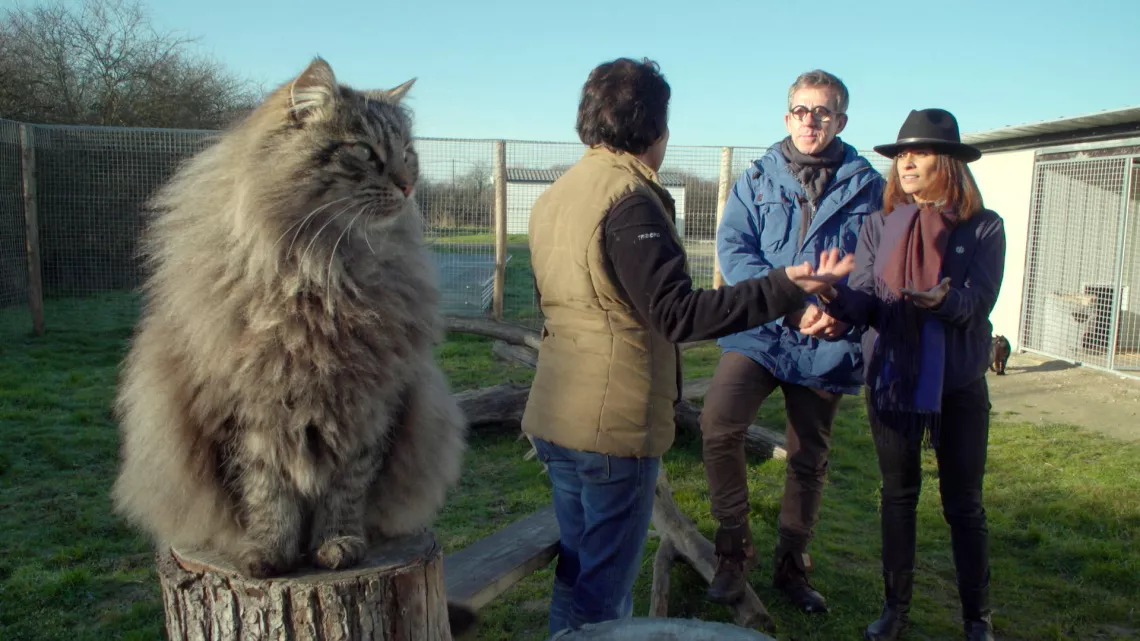 Le Monde de Jamy Ces animaux si proches de nous !