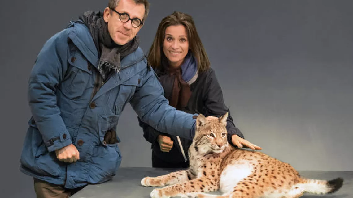 Le Monde de Jamy Ces animaux si proches de nous !
