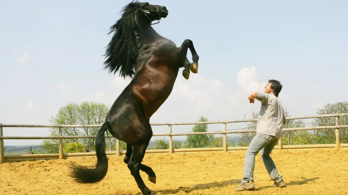 DANSE AVEC LUI