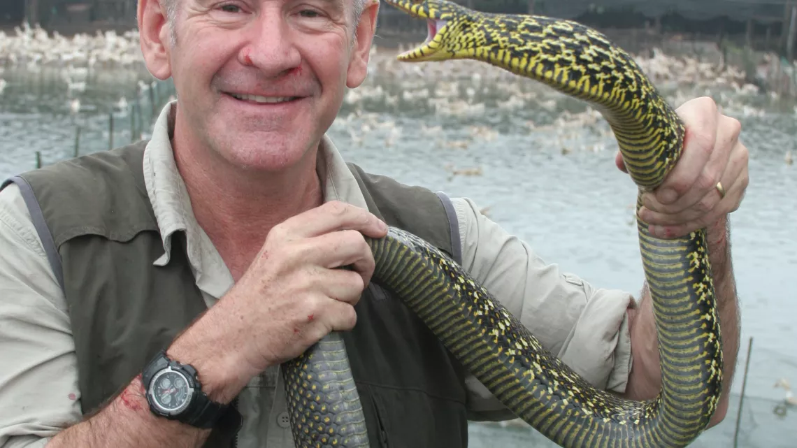 Les 10 serpents les plus dangereux