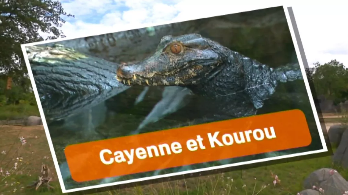 Cayenne et Kourou